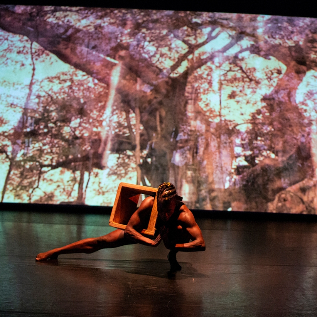 BOW'T TRAIL Rétrospek